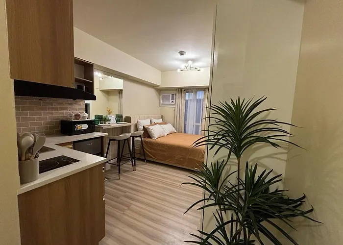 Apartment Private Unit In It Park Cebu